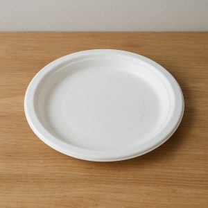 Plato plástico de 22 cm